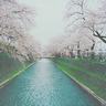 熬肉丸汤的做法大全